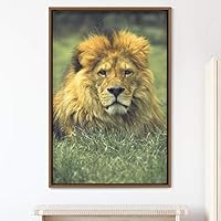 Framed Canvas Wall Art Lions Animals Chic Dramatic Lion Living Room Multicolor Photography - 16x24 inches