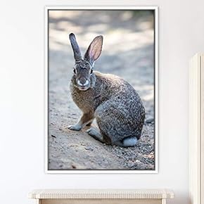 signwin Framed Canvas Wall Art Bunny Animals Bedroom...