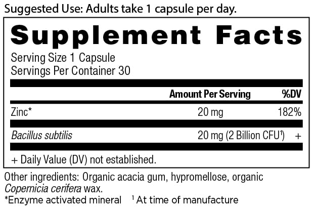 Ancient Nutrition Probiotics and Zinc Supplement, Supports Healthy Immune System and Gut Health, Made Without GMOs, Superfoods Supplement, Paleo and Keto Friendly, 30 Count