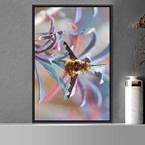 signwin Framed Canvas Wall Art Bee Expressive Farmhouse/Country...