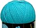 Lion Brand Yarn 550-148 Pound of Love Yarn, One Size, Turquoise
