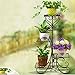 Plant Stand Metal Flower Holder Pot with 5 Tier Garden Decoration Display Wrought Iron 5 Layers Planter Rack Shelf Organizer for Garden Home Office Black (5layer)thumb 2