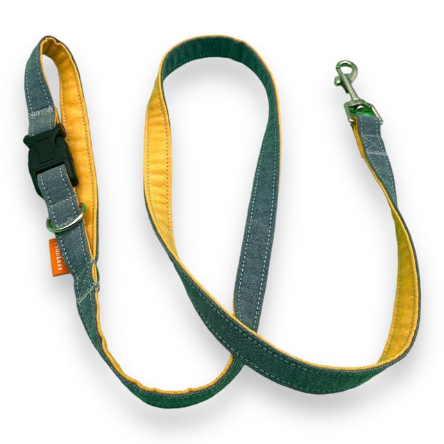 MUDLESS Dog Leash with Buckle Handle - 120cm Strong Comfortable Dog Training Leads for Daily Walks, Helping Stop Pulling - Suitable Length for Small to Large Dogs (AquaBlaze, M)