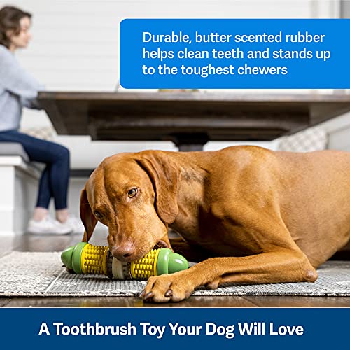 PetSafe Busy Buddy Cravin’ Corncob Dog Treat Ring Holding Chew Toy BPA Free Rubber Butter