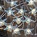 VSL#3 Starfish String Lights Battery Operated Build-in Timer LED String of Lights Warm White for Beach Party Decorative Fairy Lights 20 LEDs Flexible Copper Wire Novelty Lights for Christmas(STF)