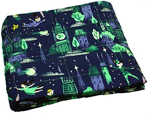 Calming Covers Weighted Blanket for Kids (6 lbs, 35 x 41, Peter Pan)