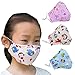 ZWZCYZ Kid's Dust Mouth Mask, Cartoon PM2.5 Anti Dust Pollution Mask with Adjustable Straps Cotton Mouth Mask Children's Guaze Mask Dustproof Face Mask with N95 Filters Pack of 3