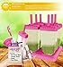 Lebice Popsicle Molds Set - BPA Free - 6 Ice Pop Makers + 1 Extra Silicone Lid + Silicone Funnel + Cleaning Brush + Recipes E-book