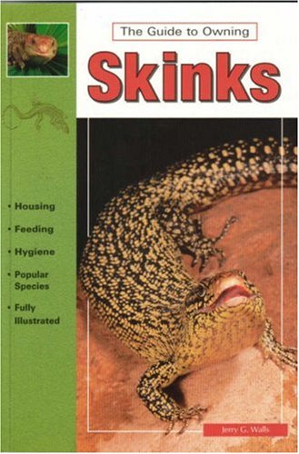 The Guide to Owning Skinks