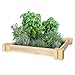 Greenes Fence RC2HG2 Cedar Herb Garden, 2′ x 2′ x 3.5″, Naturalthumb 2