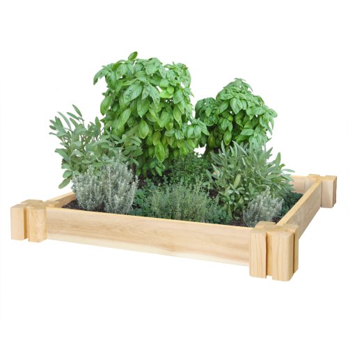 Greenes Fence RC2HG2 Cedar Herb Garden, 2′ x 2′ x 3.5″, Natural