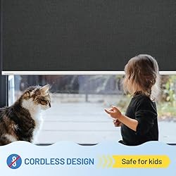 Motorized Blinds with Remote, [Free Solar