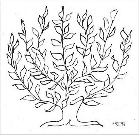 Kunstdruck Poster Henri Matisse Le Platane 1951 Hochwertiger Druck Bild Kunstposter 100x100 Cm Amazon De Kuche Haushalt