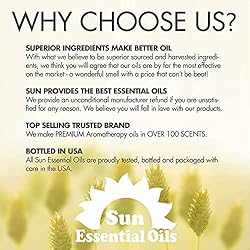 Sun Essential Oils 16oz - Grapefruit Essential Oil