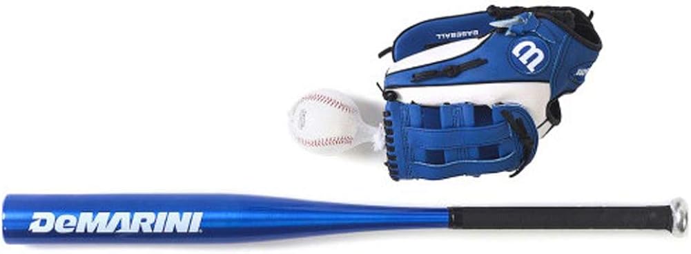 baseball bat and glove set