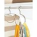 InterDesign Axis Over the Rod Closet Accessory Organizer for Scarves, Pashminas, Handbags - Loop, Chrome