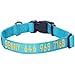 Blueberry Pet Essentials Personalized Dog Collars for Small Dogs | Adjustable & Personalized Dog Collar with Name Tag - Embroidered with Pet Name & Phone Number (Turquoise, Small)