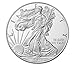 2019 American Silver Eagle Coin $1 Brilliant Uncirculated US Mint Box