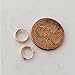Tiny Hoop Earrings or Nose Rings, Rose Gold Over Silver, 8 mm, Polish Cloth,Keeper Bag, Endless Hoops,Nose,Cartilage,Ears,Lips