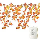 GIAGY Fall Decor,Fall Garland,Thanksgiving Decor,Christmas Decor Lighted Fall Wreath Halloween String Lights [ 14.7 Feet &40 Lights ]