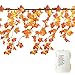 GIAGY Fall Decor,Fall Garland,Thanksgiving Decor,Christmas Decor Lighted Fall Wreath Halloween String Lights [ 14.7 Feet &40 Lights ]