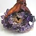 Beverly Oaks Amethyst Geode Crystal Cluster Wire Tree of Life Art Twin Spirit Tree