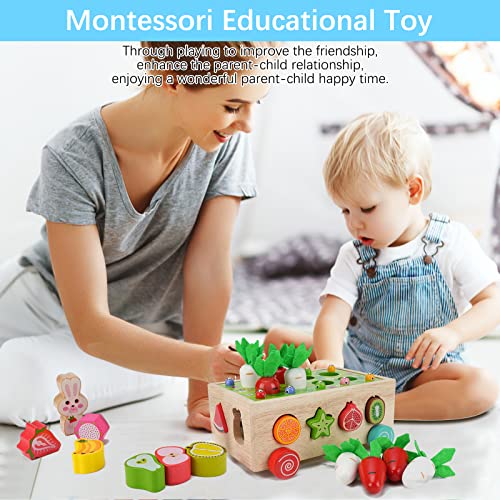 Wooden Montessori Toys for 2+ Year Old Baby Girls Boys Gift