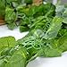 RURALITY Faux Green Leaf Garland for Wedding Decor,Fake Greenery Garland for Table Mantle Decoration,189 Inches
