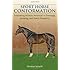 Sport Horse Conformation: Evaluating Athletic Potential in Dressage, Jumping and Event Prospects