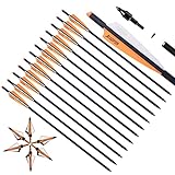 LWANO 20Inch Crossbow Bolts for Hunting with 6Pcs