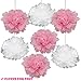 Baby Shower Decorations for Girl - Includes Matching 'Its A Girl' Banner & Balloons, Cute Photo Booth Props, Pink & White Flower Decor, and More! Perfect All in One Decoration Bundle