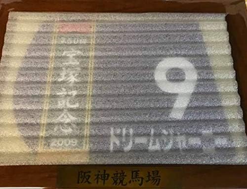 Amazon Co Jp 競馬 宝塚記念 ドリームジャーニー 額入り ミニゼッケン 09年 阪神競馬場 ホビー 通販