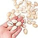 Pandahall 50pcs Spiral Seashell Beads Beach Cowrie Sea Shells White Natural Shell Pendants Beads Charms Beads for Jewelry Making, Party Wedding Decor, and Craft Project (18~20x13mm)