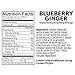 Koe Kombucha Cans, Blueberry Ginger | Organic Sparkling Fruit Drinks With Live Probiotics and Vitamin C | 12 oz Pack of 12