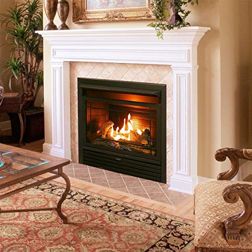 Ventless Gas Fireplace Insert Reviews