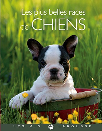 Les  plus belles races de chiens