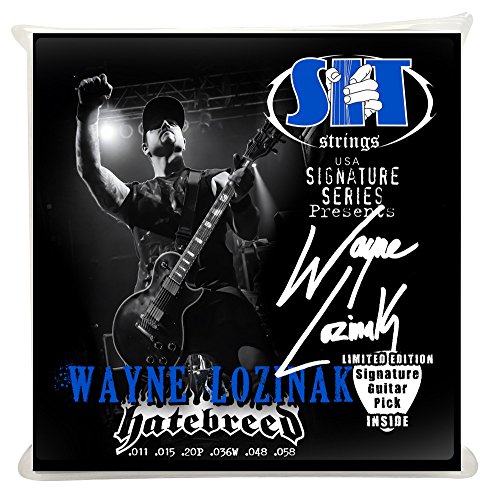 SIT Strings SS-S1158WL Nickel Plated Electric Guitar Strings, Signature Series