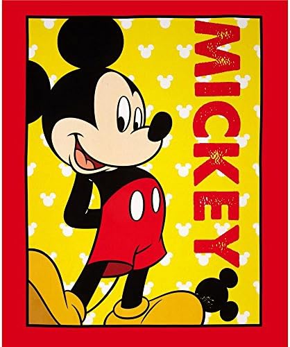 Toddler Sized SOFT MINKY Backing Weighted Blanket Lifetime Sensory Solutions 4 Lb for 30 Lb Child (Mickey Mouse Red)