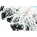 HYDDNice Hand Throw Fishing Cast Net 4ft/6ft/8ft/10ft/12ft Radius Saltwater Fishing Net for Bait Trap Fish