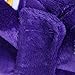 NFL Minnesota Vikings Pillow Pet