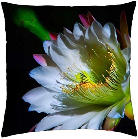 THE BEAUTY of BRAHMA KAMAL - Throw Pillow Cover Case (18" x 18")