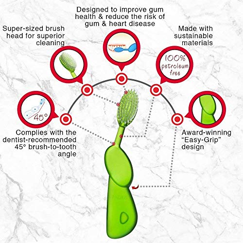 RADIUS Toothbrush Big Brush Right Berry/Natural | BPA Free and ADA Accepted | Designed to Improve Gum Health and Reduce the Risk of Gum Disease |Made with Sustainable Materials