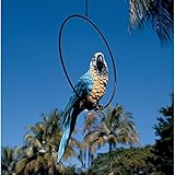 Design Toscano Polly in Paradise Parrot Statue Size: Large (Home)
