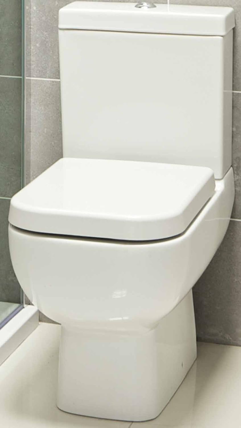 Top 10 Best Close Coupled Toilets in 2022 Express Plumbing & Gas