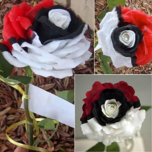 dzsntsmgs Splendid Rare Red White Black Rose Flower Seeds Beautiful Home Plant Garden Feature: Rare, Decor, Garden