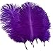 Sowder 20pcs Natural 10-12inch(25-30cm) Ostrich Feathers Plume Wedding Centerpieces Home Decoration(Purple) primary