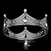 DcZeRong Black Queen Crown Women Birthday Crown Girls Birthday Princess Crown Full Metal Tiara Crown