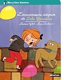Image de L'anniversaire surprise de Lulu-Grenadine (French Edition)