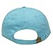 City Hunter C104 Pineapple Cotton Baseball Cap Multi Colors (Aqua)