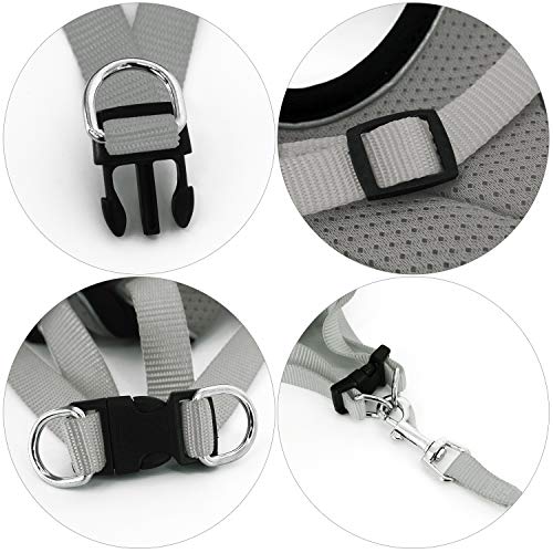 Kamots Beauty Escape Proof Cat Dog Harness and Leash Adjustable Soft Mesh Pet Vest with Reflective Strap for Puppy Kitten Small Pet Walking -(Grey,L)